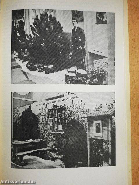 Múzeumi Közlemények 1973/2-3.