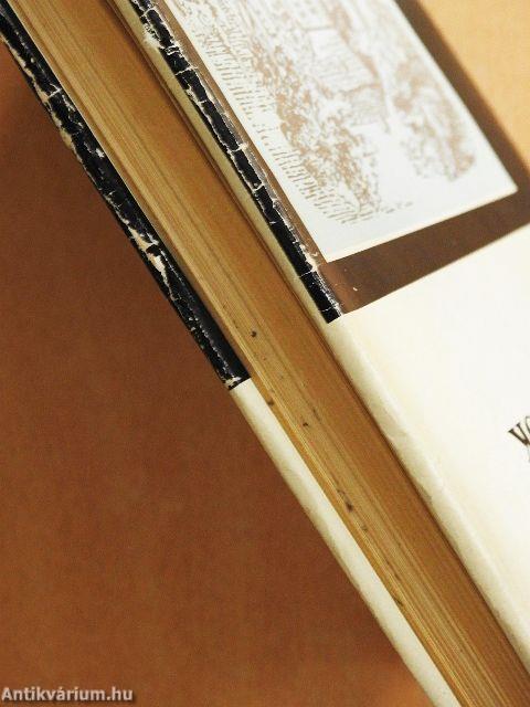 Vonzások és választások