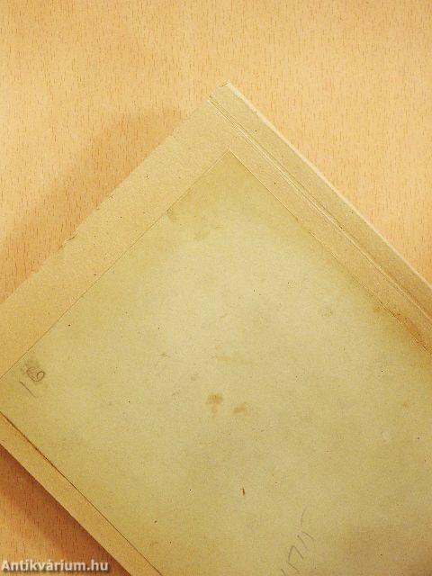 Város az ingoványon