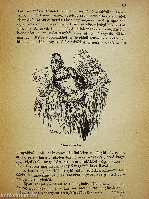 Őserdőkön, tengereken