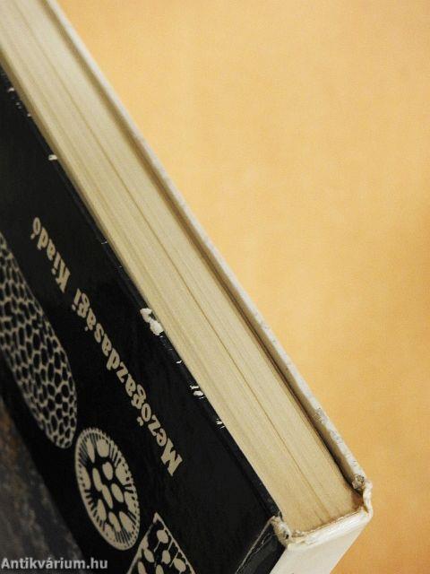 A vizek környezettana