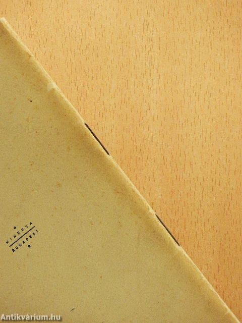 A kis Gevaert foto-tankönyv