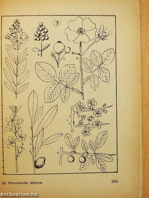 Túravezetők könyve 1.