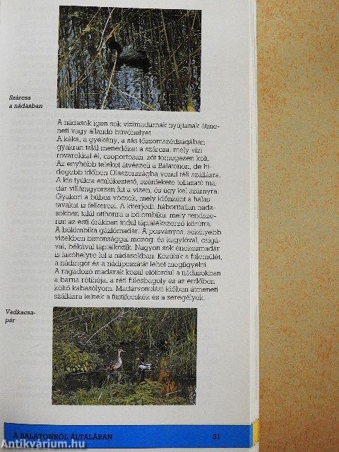 Balaton és a Balaton-felvidék