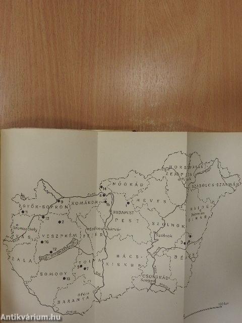 Archäologische Forschungen 1969