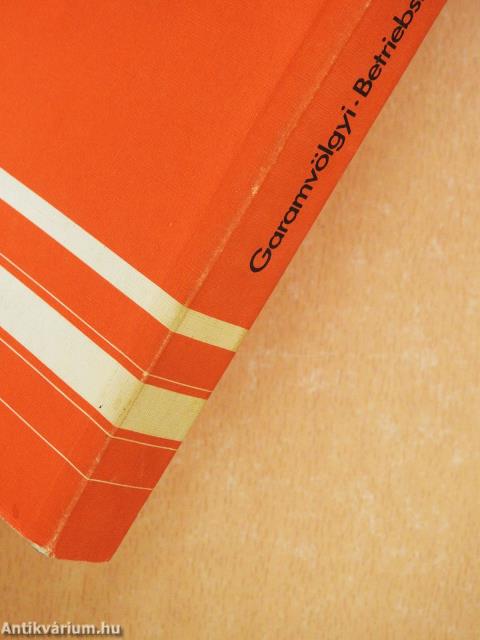 Betriebsräte und sozialer Wandel in Österreich 1919/1920 (dedikált példány)