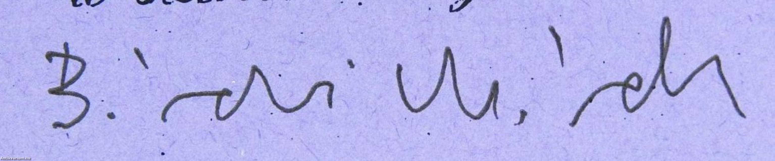 Integrációs stratégiák a magyar kisebbségek történetében (aláírt példány)