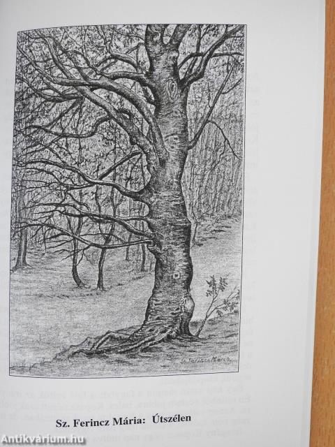 Tavaszi zsongás (aláírt példány)