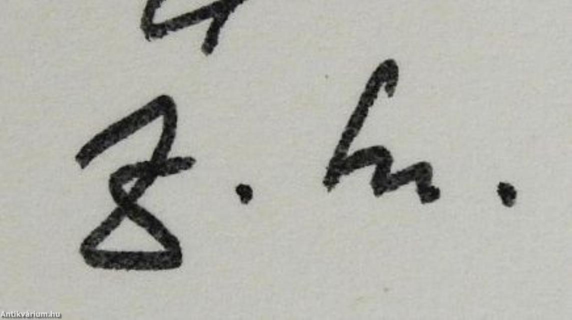 Ferdinandy Mihály füzetei I/1. (dedikált példány)