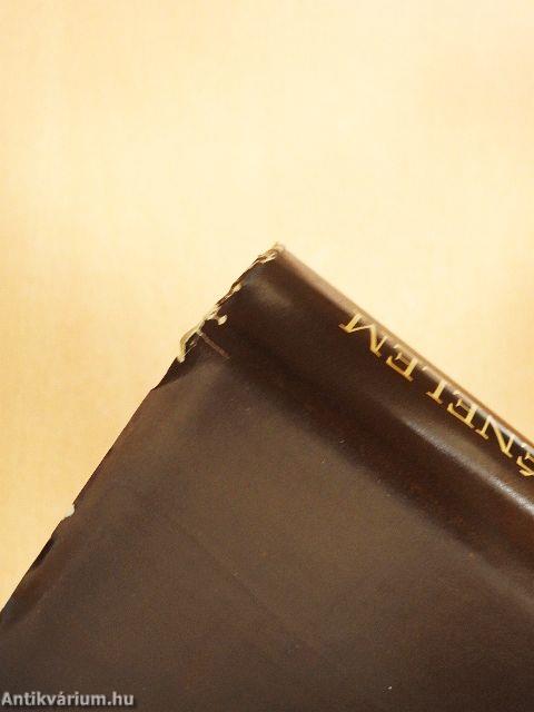 Történő történelem