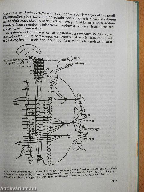 A pszichológia alapkérdései