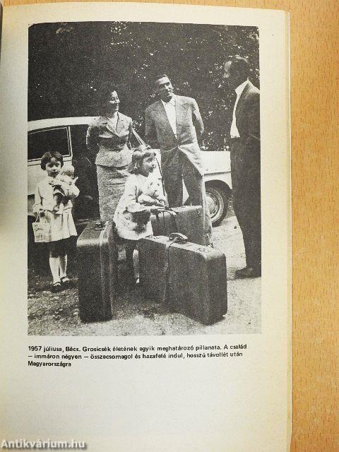 A Grosics-villa titka