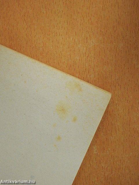 A Grosics-villa titka