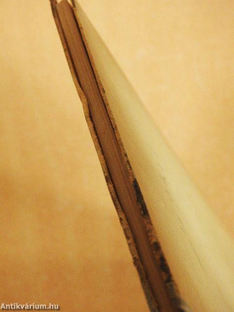 Wachsen und Blühen fotografisch gesehen