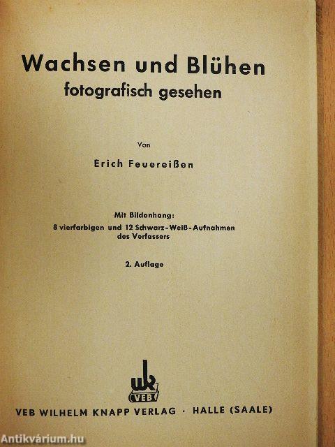 Wachsen und Blühen fotografisch gesehen