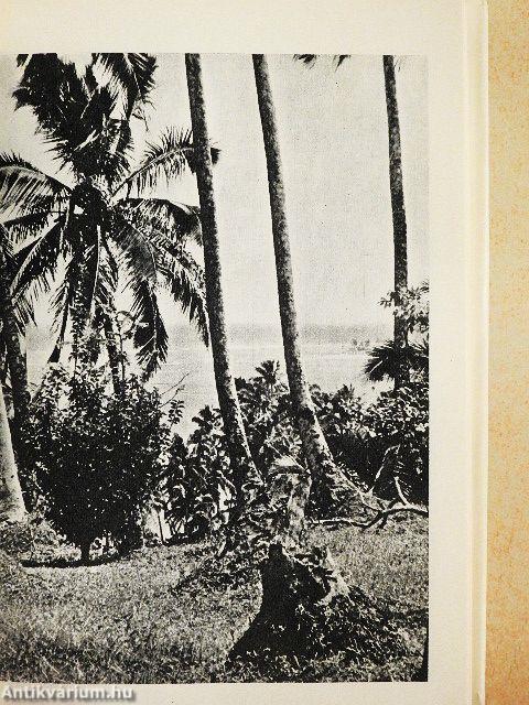 Négy gyerekkel egy pálmakunyhóban