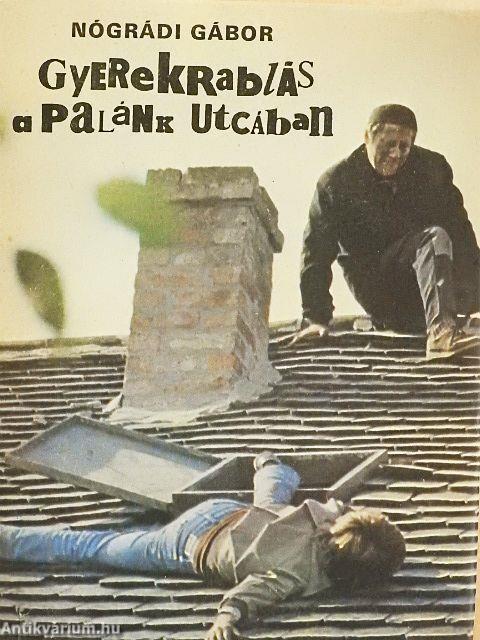 Gyerekrablás a Palánk utcában