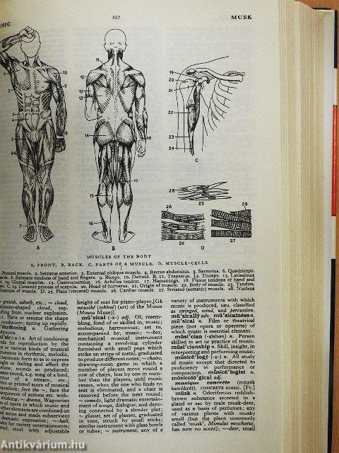 The Award Illustrated Dictionary