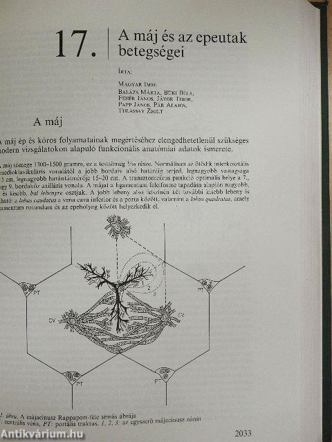 A belgyógyászat alapvonalai 1-3.