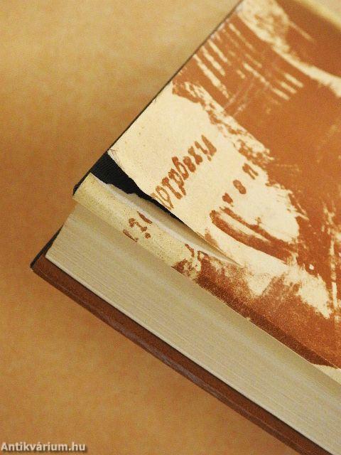 Megfigyelés alatt...