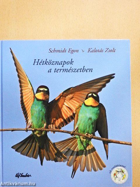 Hétköznapok a természetben