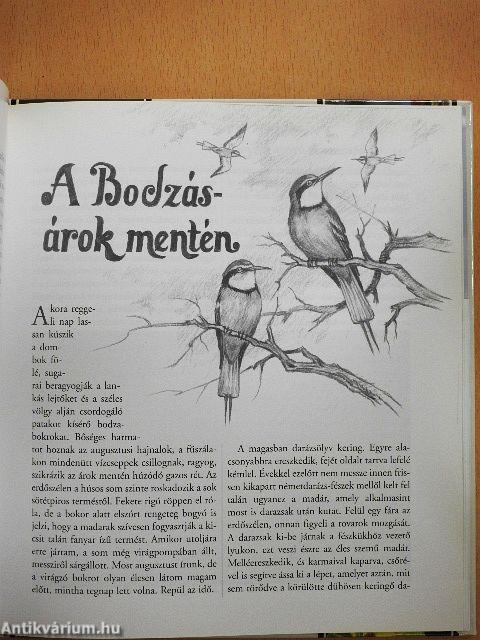 Hétköznapok a természetben