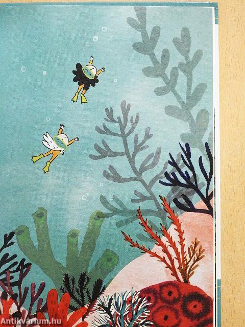 Tökmagok a korallzátonyon