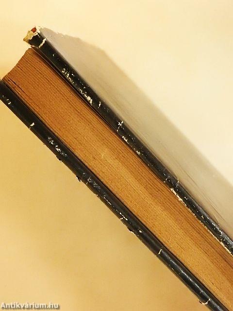 Máglyák Firenzében