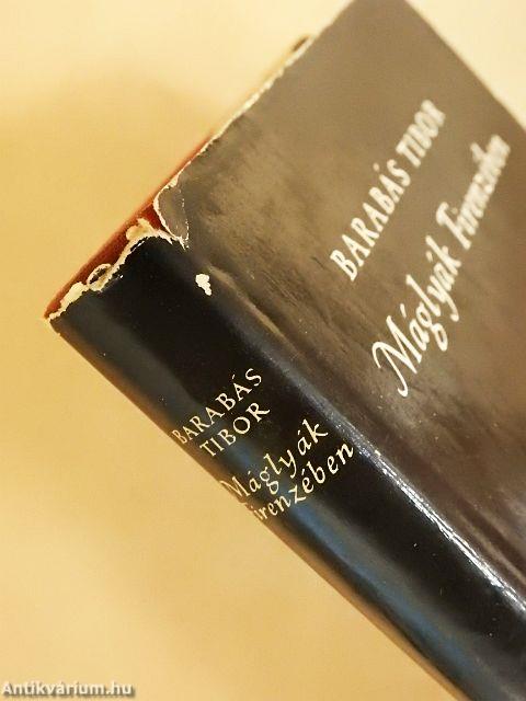 Máglyák Firenzében