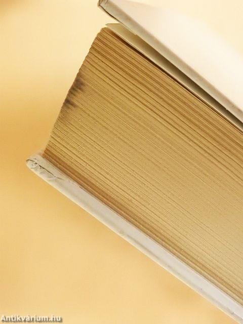 Magyar-angol üzleti nagyszótár