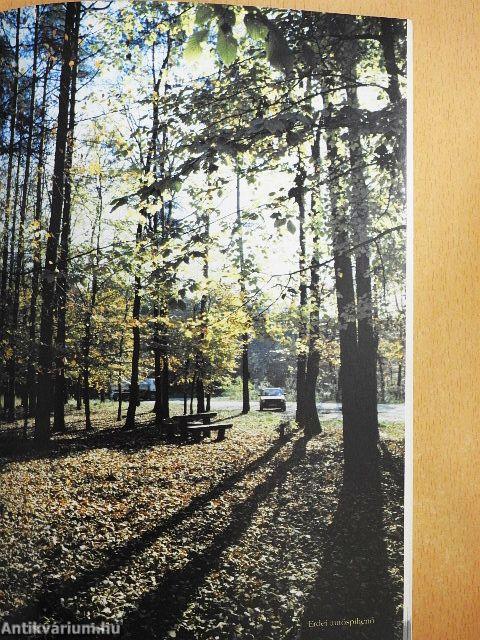 Látnivalók Zala megyében