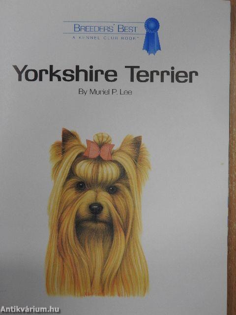 Yorkshire Terrier