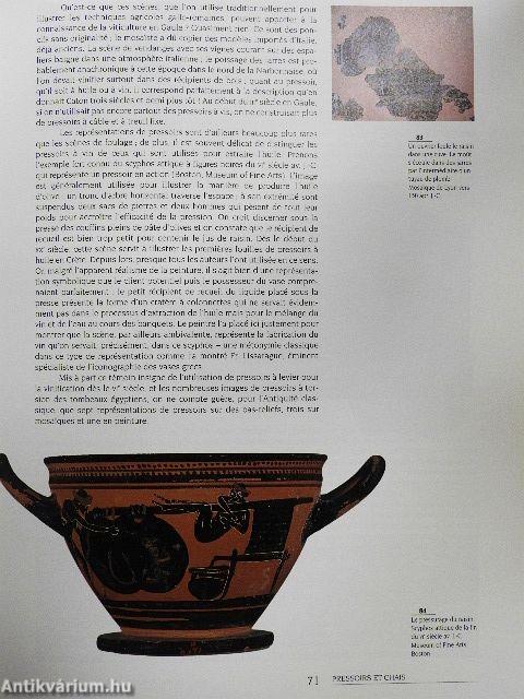 Le Vin Romain Antique