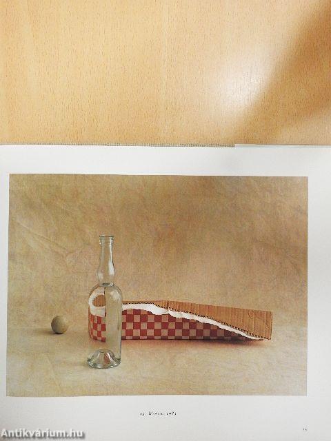 Peter Ruting  - The Images of Thought