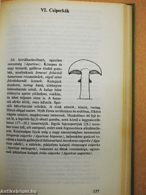 Ehető és mérges gombák
