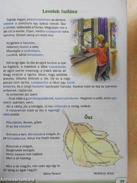 Hétszínvarázs - Olvasókönyv 2