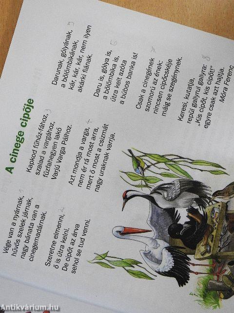 Hétszínvarázs - Olvasókönyv 2