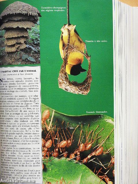 Dictionnaire Général