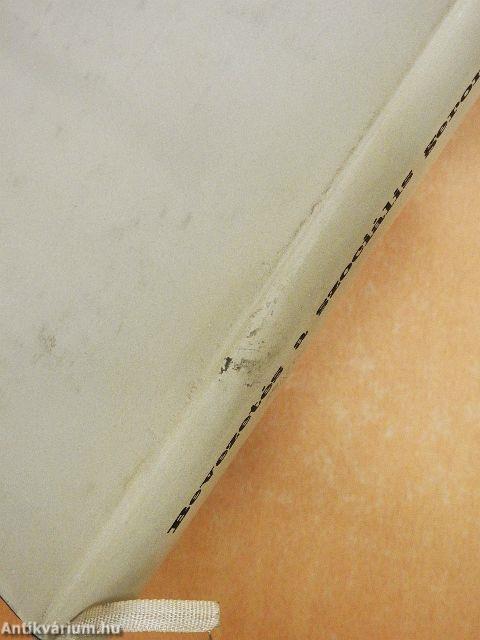 Bevezetés a szociális gerontológiába