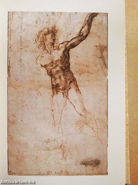 Michelangelo Buonarroti versei