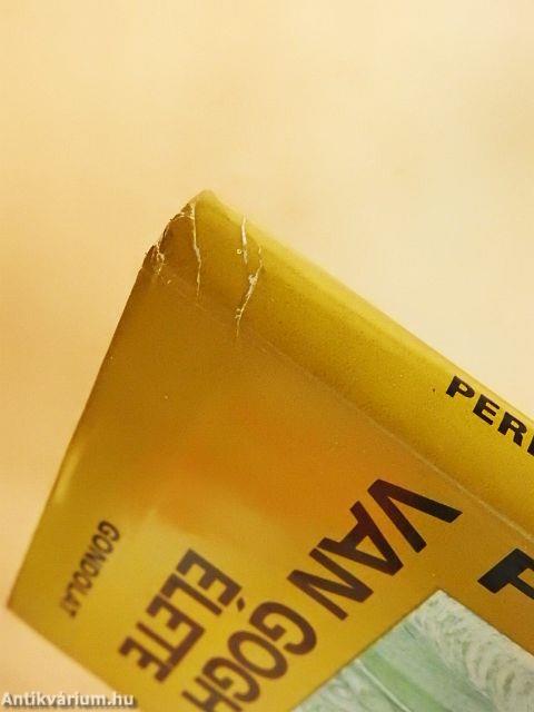 Vincent Van Gogh élete