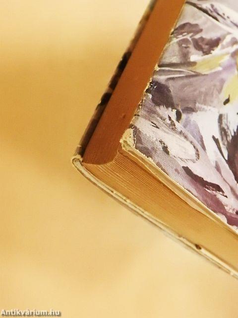 Egy bolygó robinzonjai