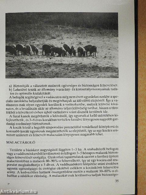 A vaddisznó zárttéri tartása