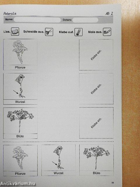 Einfach gärtnern - drinnen und draußen