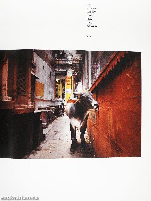 India rejtett mosolya