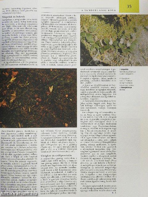 Pannon Enciklopédia - Magyarország növényvilága
