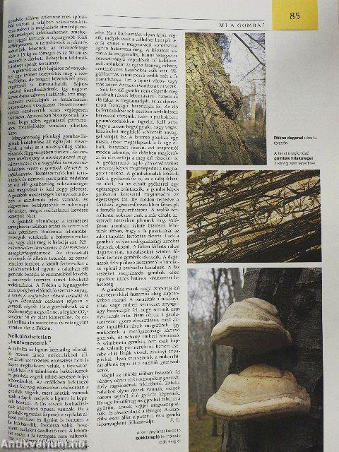 Pannon Enciklopédia - Magyarország növényvilága