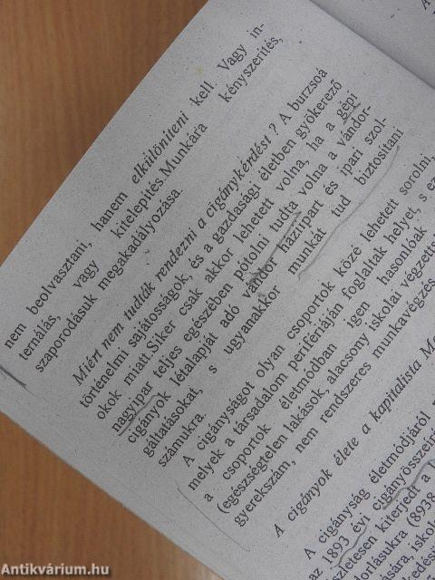 Cigányokról dióhéjban