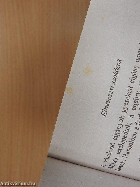 Cigányokról dióhéjban