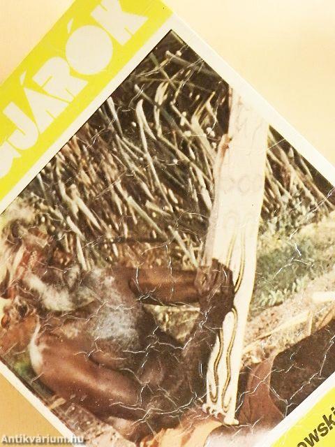 Posta Soha-soha földre